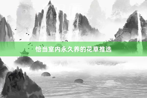 恰当室内永久养的花草推选