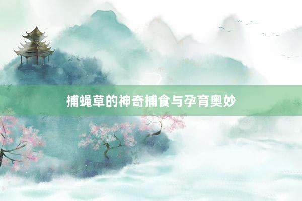 捕蝇草的神奇捕食与孕育奥妙