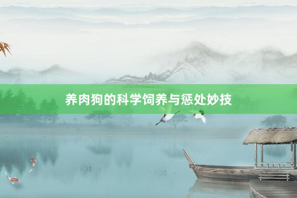 养肉狗的科学饲养与惩处妙技