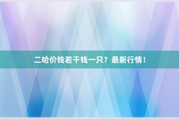 二哈价钱若干钱一只？最新行情！