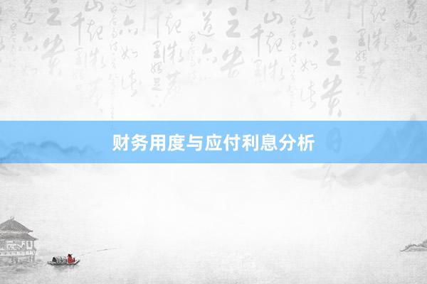 财务用度与应付利息分析